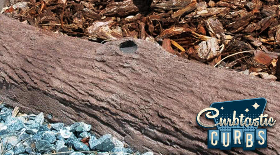 Bark Texture