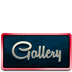 Gallery Button