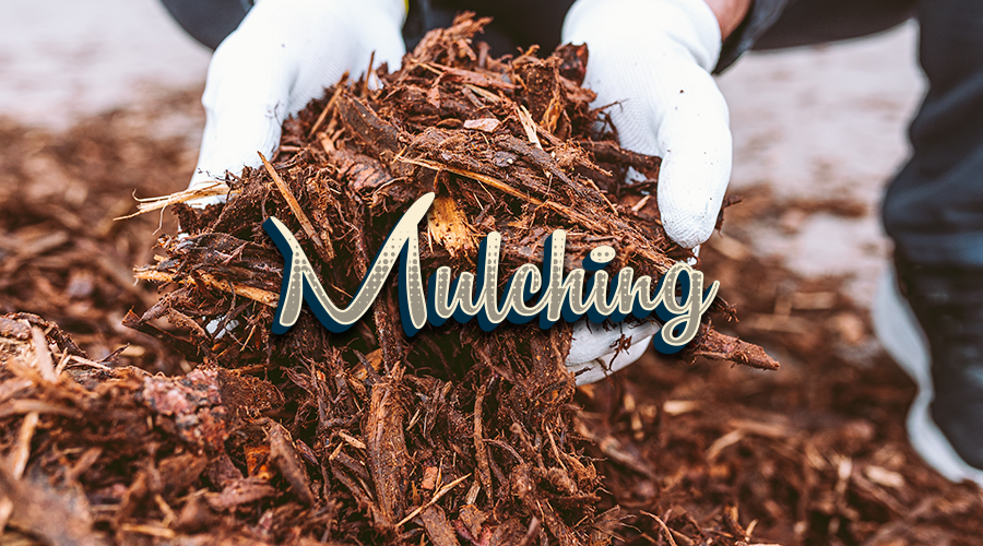 Services - Mulching