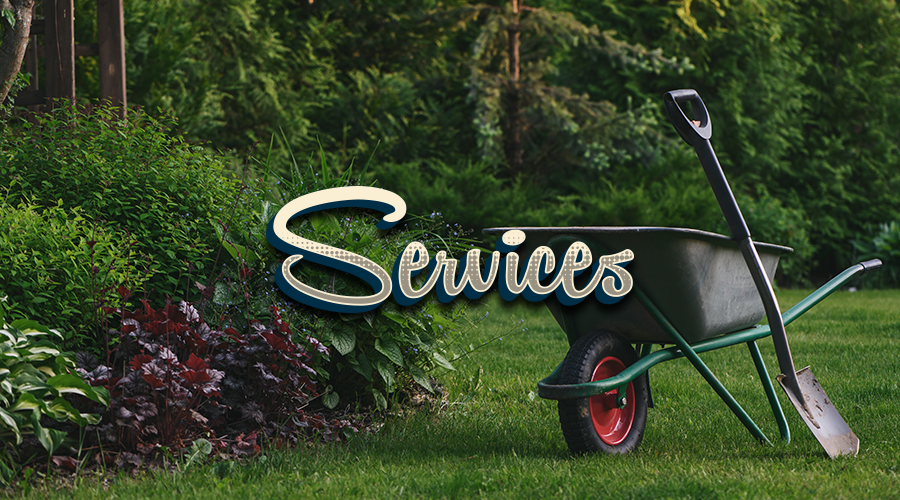 Services - Title